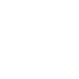 AFMUN logo